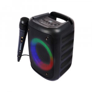 Zebronics Zeb Buddy 100 15 W Bluetooth Party Speaker (Black, Mono Channel)