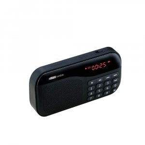 Portronics Plugs POR-141 Portable Speaker with FM &amp; Micro SD Card Support (Black)