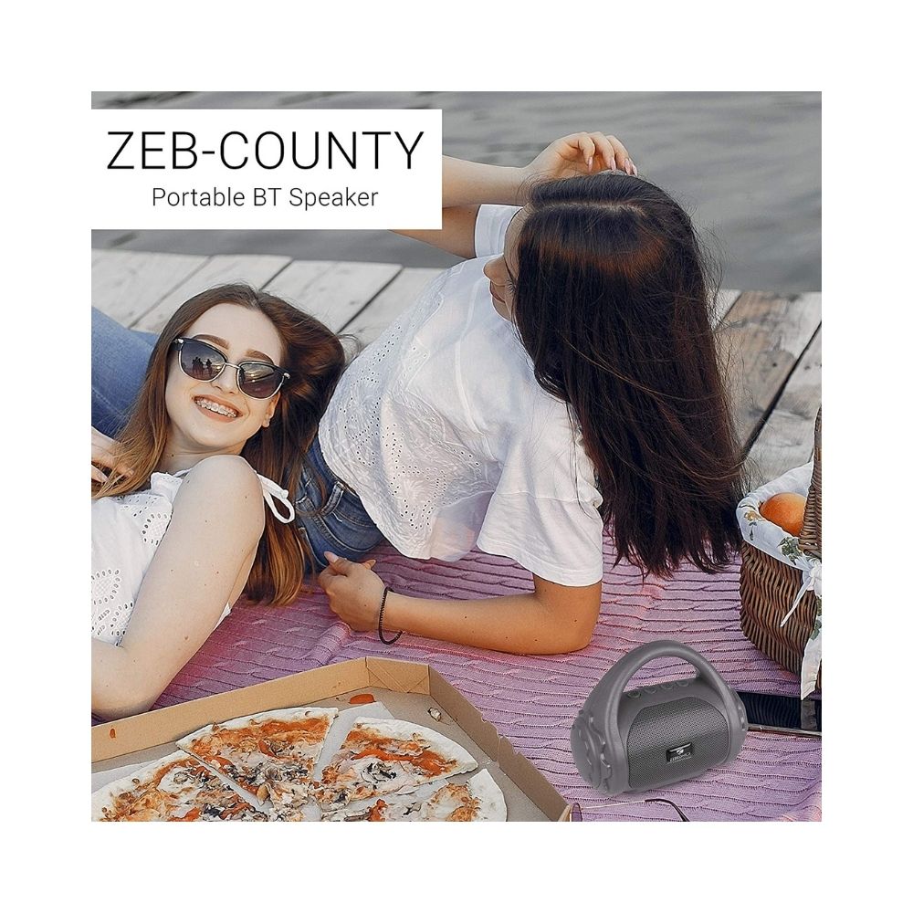 Zebronics Zeb-County Bluetooth Speaker with Built-in FM Radio, Aux Input and Call Function (Grey)